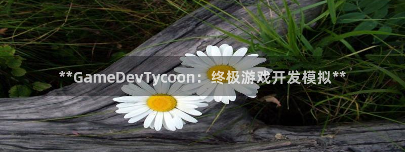 沐鸣娱乐2是干嘛的