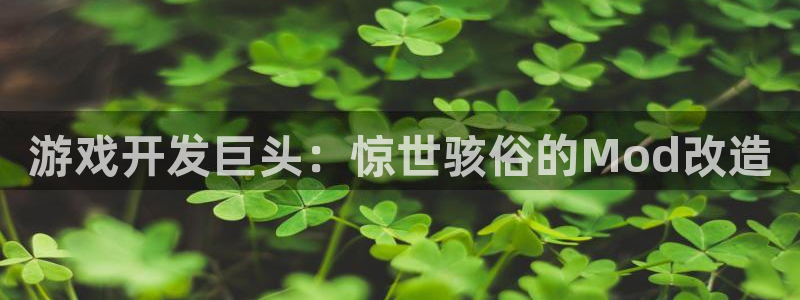 沐鸣2联盟