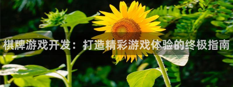沐鸣娱乐2手机下载
