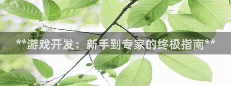 沐鸣2平台主管