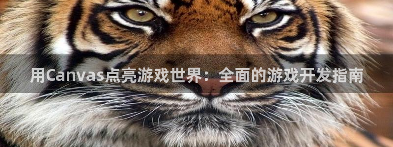 沐鸣娱乐2不能注册