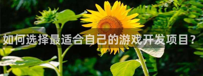 沐鸣2账号注册：如何选择最适合自己的游戏开发项目？