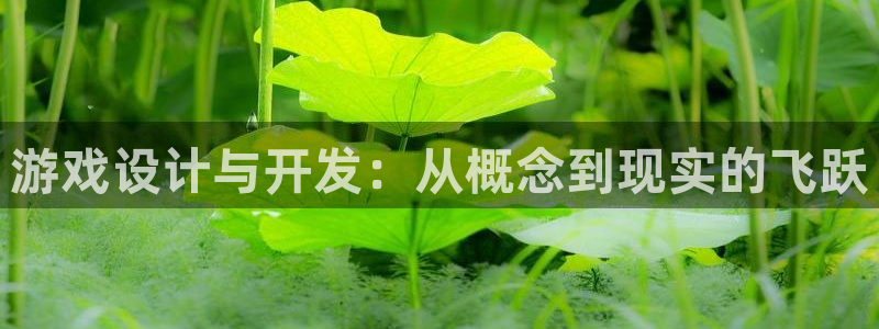 沐鸣娱乐2手机下载破解版：游戏设计与开发：从概念到现实的飞跃