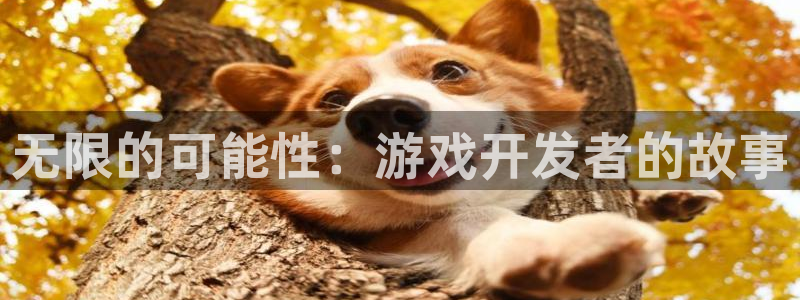 沐鸣2娱乐平台登录客服：无限的可能性：游戏开发者的故事