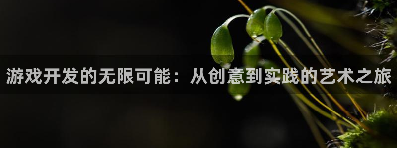 沐鸣2注册丘27337：游戏开发的无限可能：从创意到实践的艺术之旅