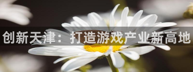 沐鸣娱乐2官方平台