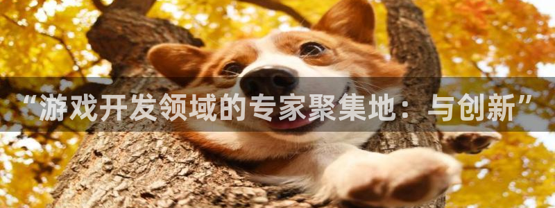 沐鸣2测速登陆：“游戏开发领域的专家聚集地：与创新”