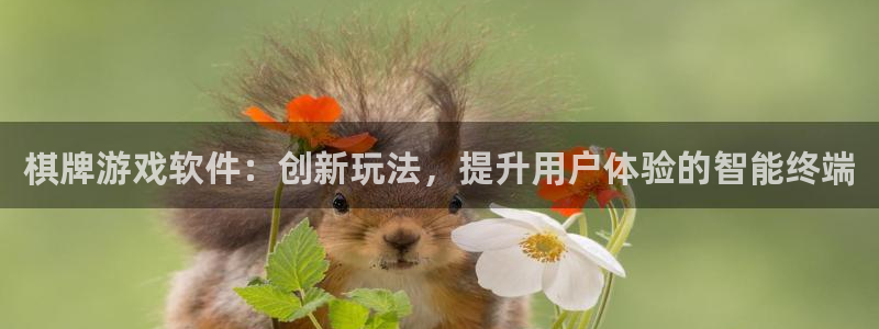 沐鸣娱乐2在线注册：棋牌游戏软件：创新玩法，提升用户体验的智能终端