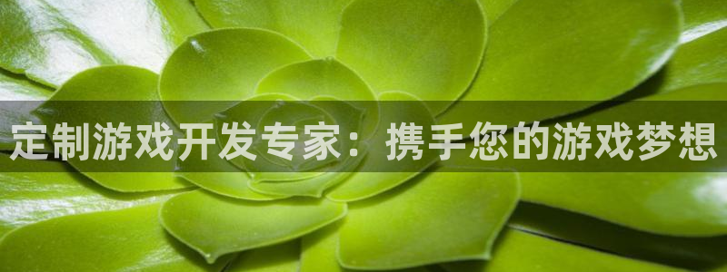 沐鸣2平台招商：定制游戏开发专家：携手您的游戏梦想