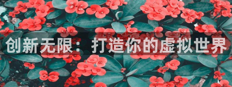 沐鸣娱乐2l怎么样：创新无限：打造你的虚拟世界