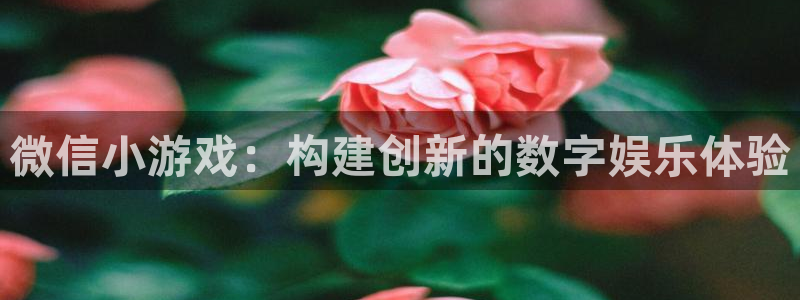 沐鸣娱乐2怎么登录账号：微信小游戏：构建创新的数字娱乐体验