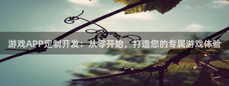 沐鸣娱乐2注册账号：游戏APP定制开发：从零开始，打造您的专属游戏体验