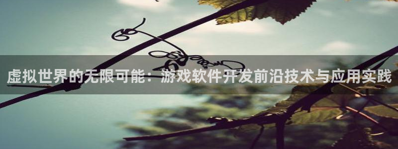 沐鸣2注册登陆：虚拟世界的无限可能：游戏软件开发前沿技术与应用实践