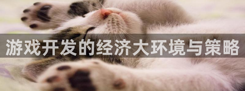 沐鸣2平台线路：游戏开发的经济大环境与策略