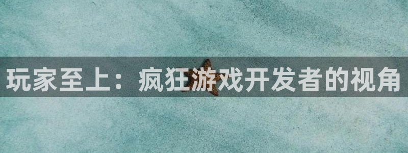 沐鸣2平台代理：玩家至上：疯狂游戏开发者的视角