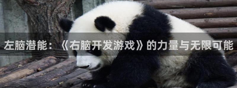 沐鸣娱乐2登录平台：左脑潜能：《右脑开发游戏》的力量与无限可能