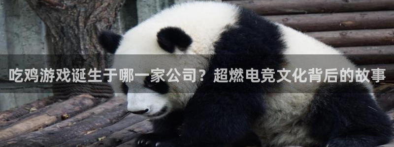 沐鸣娱乐2黑客户吗：吃鸡游戏诞生于哪一家公司？超燃电竞文化背后的故事