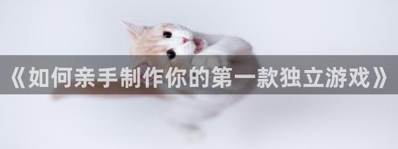 沐鸣娱乐2怎么登录账号：《如何亲手制作你的第一款独立游戏》