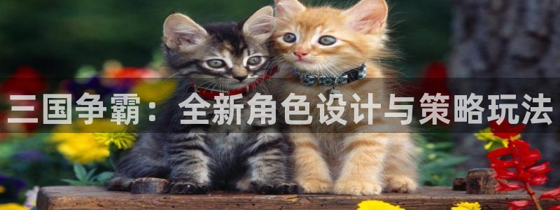 沐鸣娱乐2客服：三国争霸：全新角色设计与策略玩法