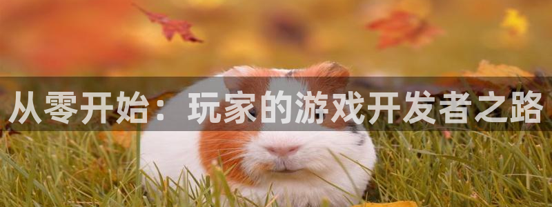 沐鸣娱乐2官网网址是什么：从零开始：玩家的游戏开发者之路