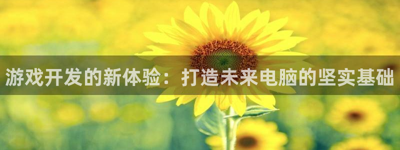 沐鸣2平台官网登录：游戏开发的新体验：打造未来电脑的坚实基础