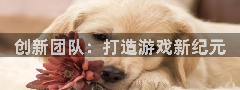 沐鸣娱乐2是干嘛的：创新团队：打造游戏新纪元