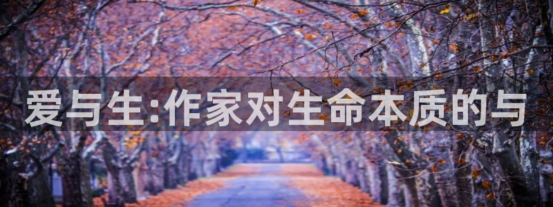 笔书阁txt