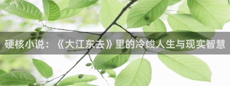 笔书阁app下载正版